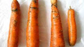 Kako se ukvarjati z carrot fly